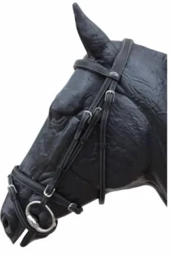 Bridon en cuir Italien modèle Bari JMRPRO