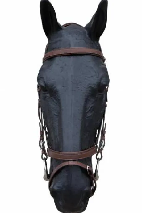 Bridon en cuir Italien modèle Bari JMRPRO