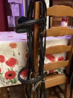 Bridon en cuir noir avec les coutures blanches