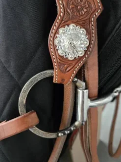 Bridon et collier de chasse western
