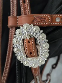 Bridon et collier de chasse western