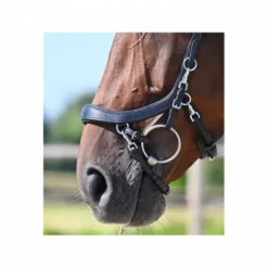 Bridon Faysport Presteq - Presteq