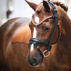 Bridon FLEUR cuir rond noir - SD Design