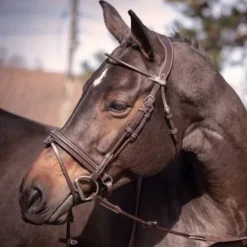 Bridon Friday muserolle combinée - Collection week - Jump in