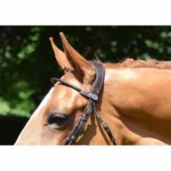 Bridon Friday muserolle combinée - Collection week - Jump in