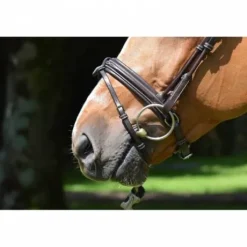 Bridon Friday muserolle combinée - Collection week - Jump in