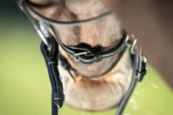 Bridon Functional HFI