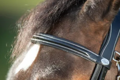 Bridon Functional HFI