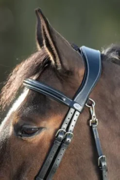 Bridon Functional HFI