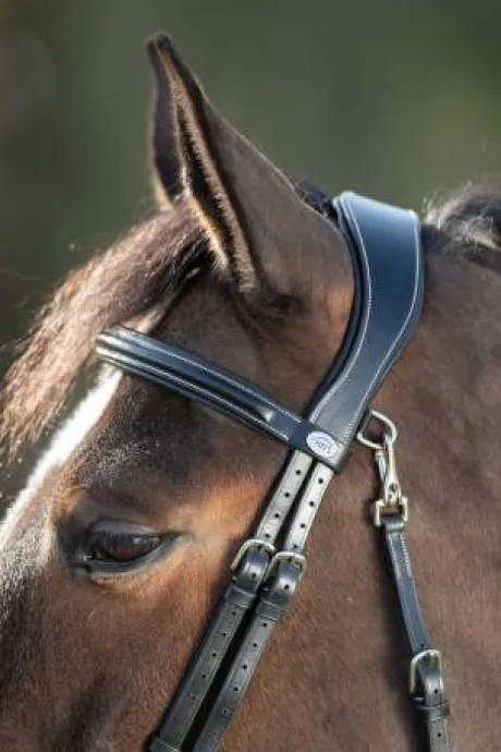 Bridon Functional HFI