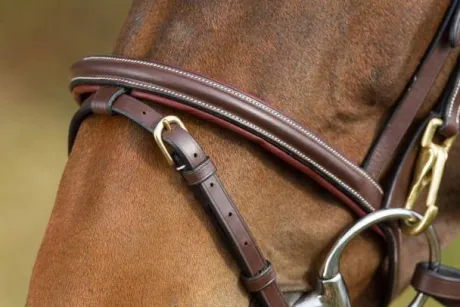 Bridon Functional HFI