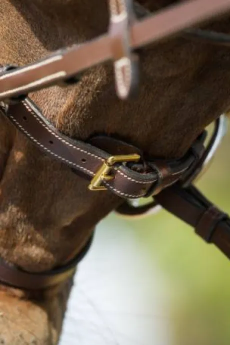 Bridon Functional HFI