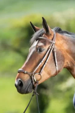 Bridon German HFI muserolle allemande