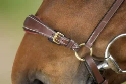 Bridon German HFI muserolle allemande