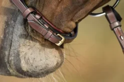 Bridon German HFI muserolle allemande