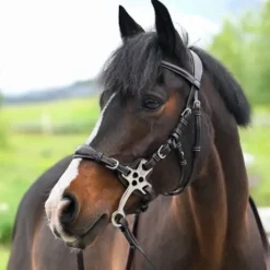 Bridon Hackamore - Collection One Premium - Jump'In - Cuir italien