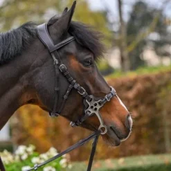 Bridon Hackamore - Collection One Premium - Jump'In - Cuir italien