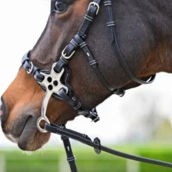 Bridon Hackamore - Collection One Premium - Jump'In - Cuir italien