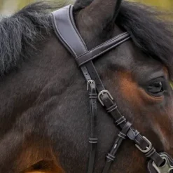 Bridon Hackamore - Collection One Premium - Jump'In - Cuir italien