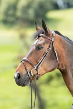 Bridon HFI Technical cuir surpiqué