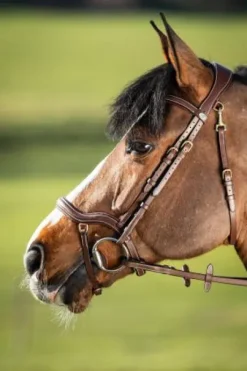 Bridon HFI Techno muserolle anatomique en Y