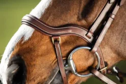 Bridon HFI Techno muserolle anatomique en Y