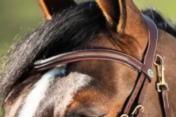 Bridon HFI Techno muserolle anatomique en Y