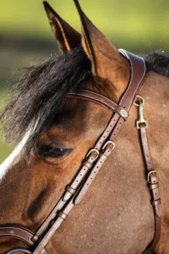 Bridon HFI Techno muserolle anatomique en Y