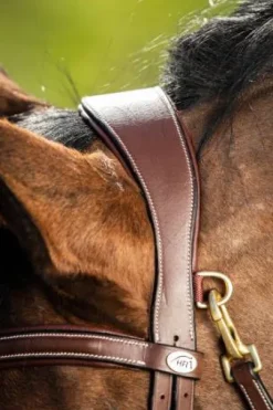 Bridon HFI Techno muserolle anatomique en Y