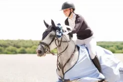 Bridon in horse we trust frontal disco vague parfait