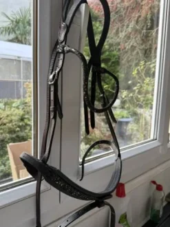 Bridon in horse we trust frontal disco vague parfait