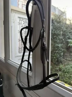 Bridon in horse we trust frontal disco vague parfait