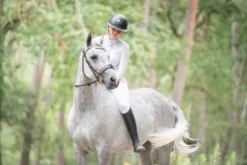 Bridon in horse we trust frontal disco vague parfait