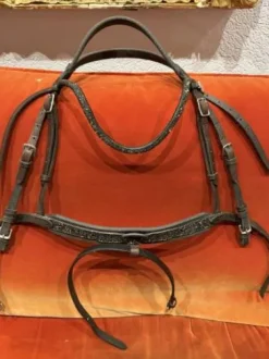 Bridon in horse we trust frontal disco vague parfait