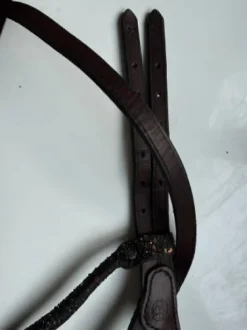 Bridon in horse we trust frontal disco vague parfait