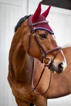 Bridon Kall Harcour et ses rênes classiques Rider