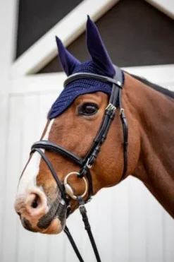 Bridon Kall Harcour et ses rênes classiques Rider