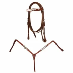 Bridon lakota western et poitrail