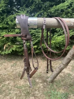 Bridon licol ergonomique