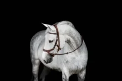 Bridon Micklem 2 Multi-brides - Horseware - Briderie