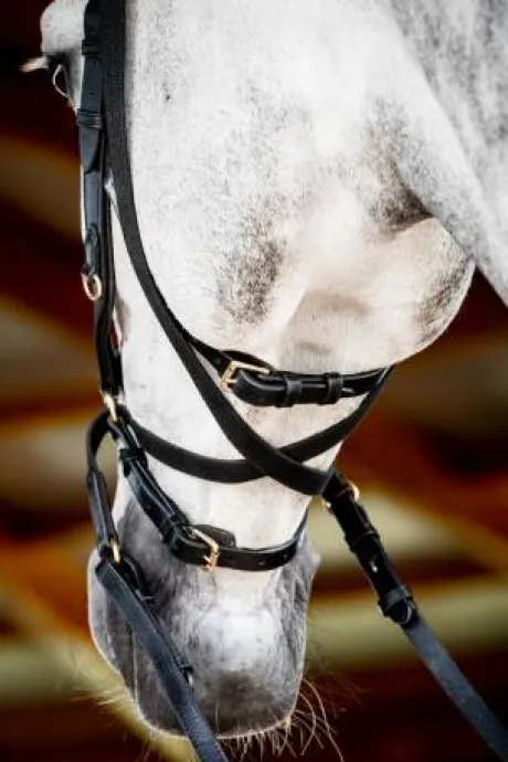 Bridon Micklem 2 Multi-brides - Horseware - Briderie