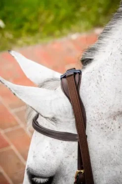 Bridon Micklem 2 Multi-brides - Horseware - Briderie