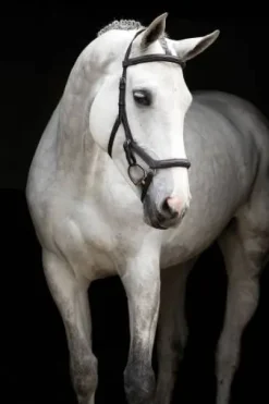 Bridon Micklem Deluxe Competition - Horseware - cuir anglais