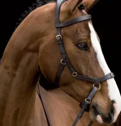 Bridon micklem multi - Horseware - évite la pression