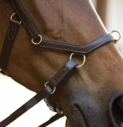 Bridon micklem multi - Horseware - évite la pression