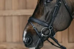 Bridon muserolle pull back tressée - Dy'on