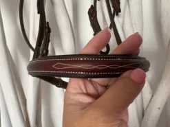 Bridon neuf penelope