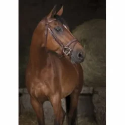 Bridon Norton Pro Combiné