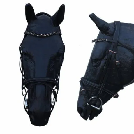 Bridon Orkana avec muserolle croisée et têtière ergonomique - Jmr Pro