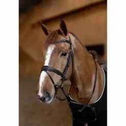 Bridon padded HFI - anatomique rembourré, cuir souple